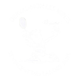 Logo Les As du volant